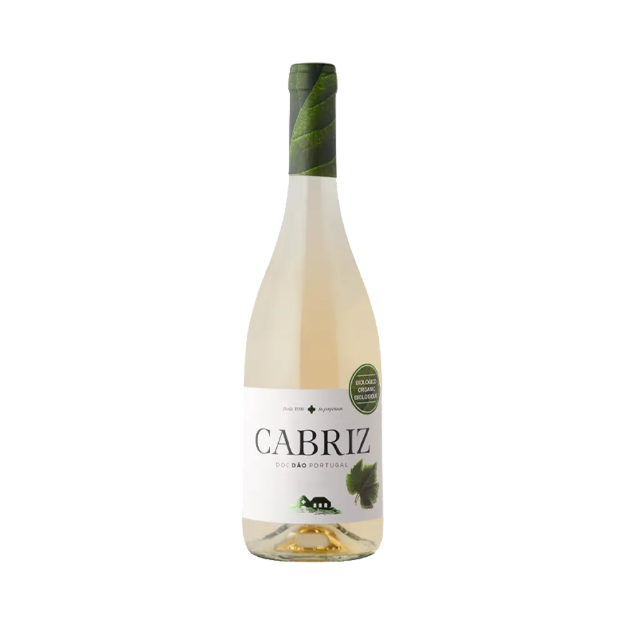 Imagen de Cabriz Biologico - Vino Blanco
