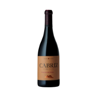 Imagen de Cabriz Touriga Nacional - Vino Tinto