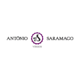 Imagen para la categoría António Saramago