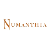 Imagen para la categoría Numanthia