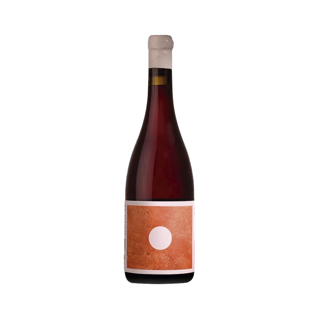 Imagen de Morgado do Quintão Ânfora - Vino Tinto
