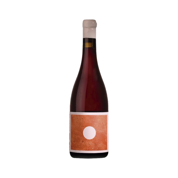 Imagen de Morgado do Quintão Ânfora - Vino Tinto