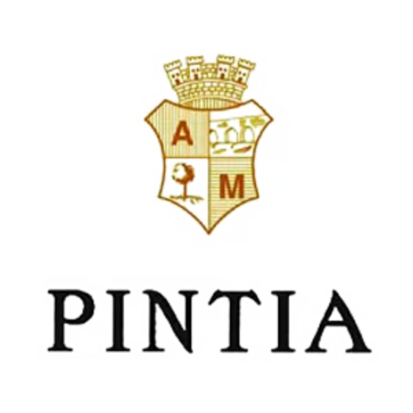 Imagen del fabricante Pintia