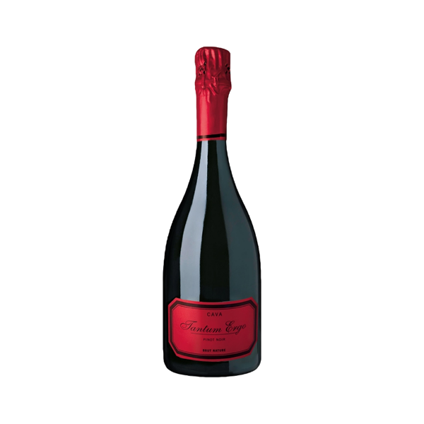 Imagen de Cava Tantum Ergo Pinot Noir Rosé - Vino Espumoso