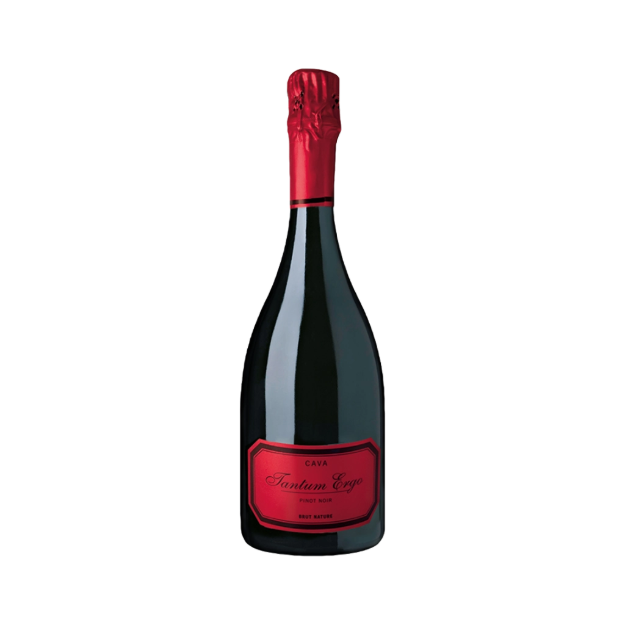 Imagen de Cava Tantum Ergo Pinot Noir Rosé - Vino Espumoso