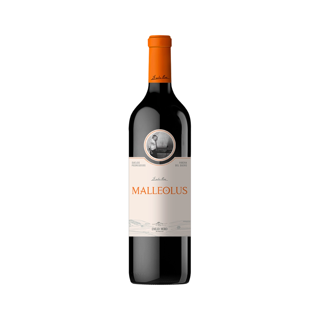 Imagen de Malleolus Magnum - Vino Tinto