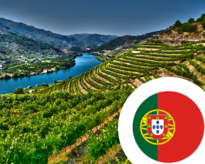 Imagen para la categoría Vino de Portugal
