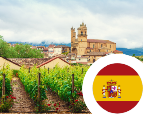 Imagen para la categoría Vino de España