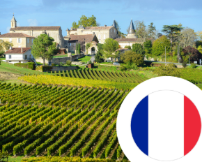 Imagen para la categoría Vino de Francia