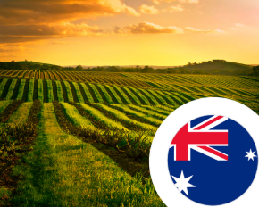Imagen para la categoría Vino de Australia