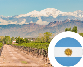 Imagen para la categoría Vino de Argentina