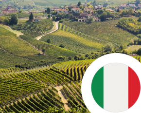 Imagen para la categoría Vino de Italia
