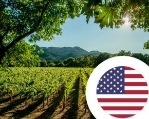 Imagen para la categoría Vino de Estados Unidos