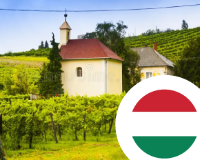 Imagen para la categoría Vino de Hungría