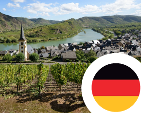 Imagen para la categoría Vino de Alemania