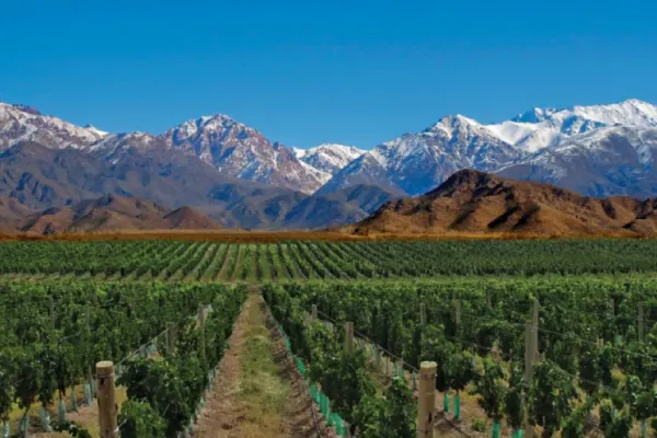 Vino de Argentina