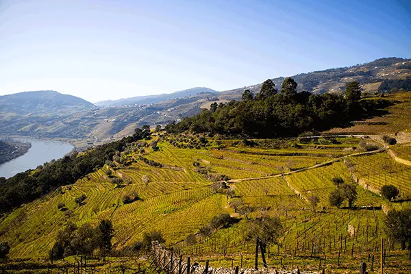 Oporto y Duero