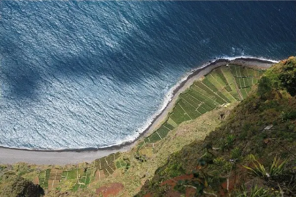 Vino de Madeira